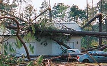 Steel garage hit by six trees during Hurricane Katrina