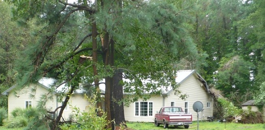 Fallen tree on home after Hurricane Irene